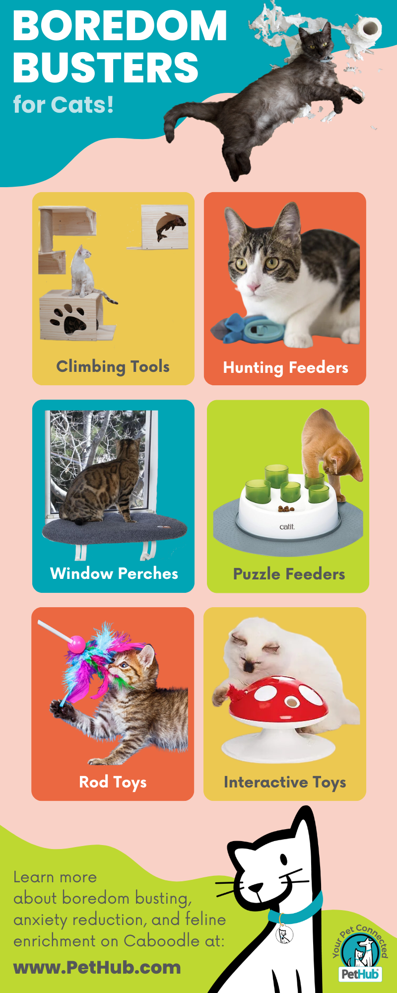 An infographic showing 6 cat enrichment tools